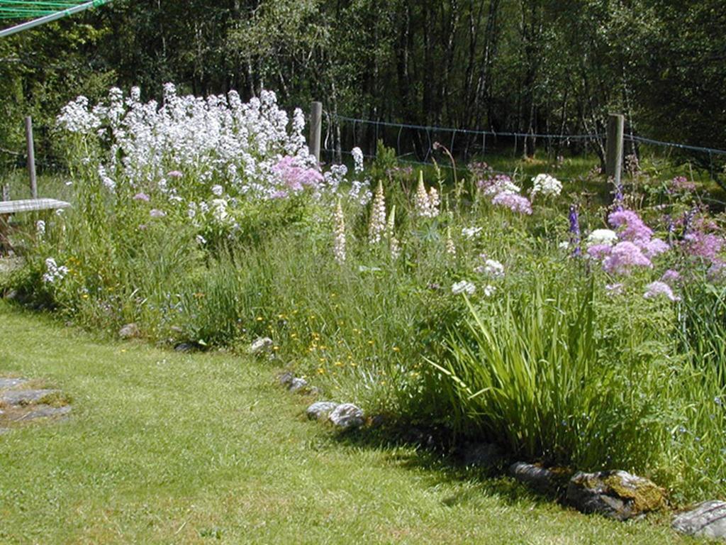 Torcroft Lodges Drumnadrochit Rom bilde